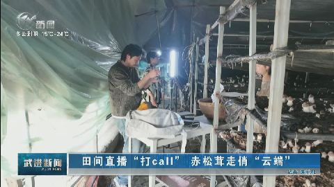武進新聞