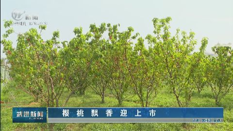 武進新聞