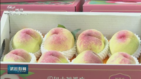 武進(jìn)新聞