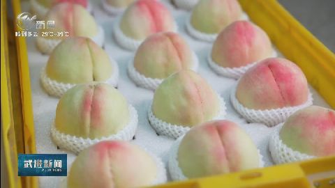 武進(jìn)新聞