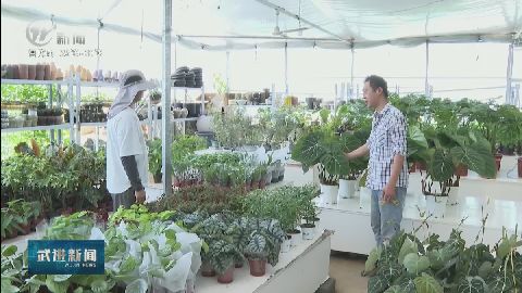 武進(jìn)新聞