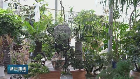 武進新聞