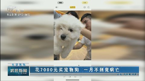 武進(jìn)新聞