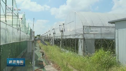 武進(jìn)新聞